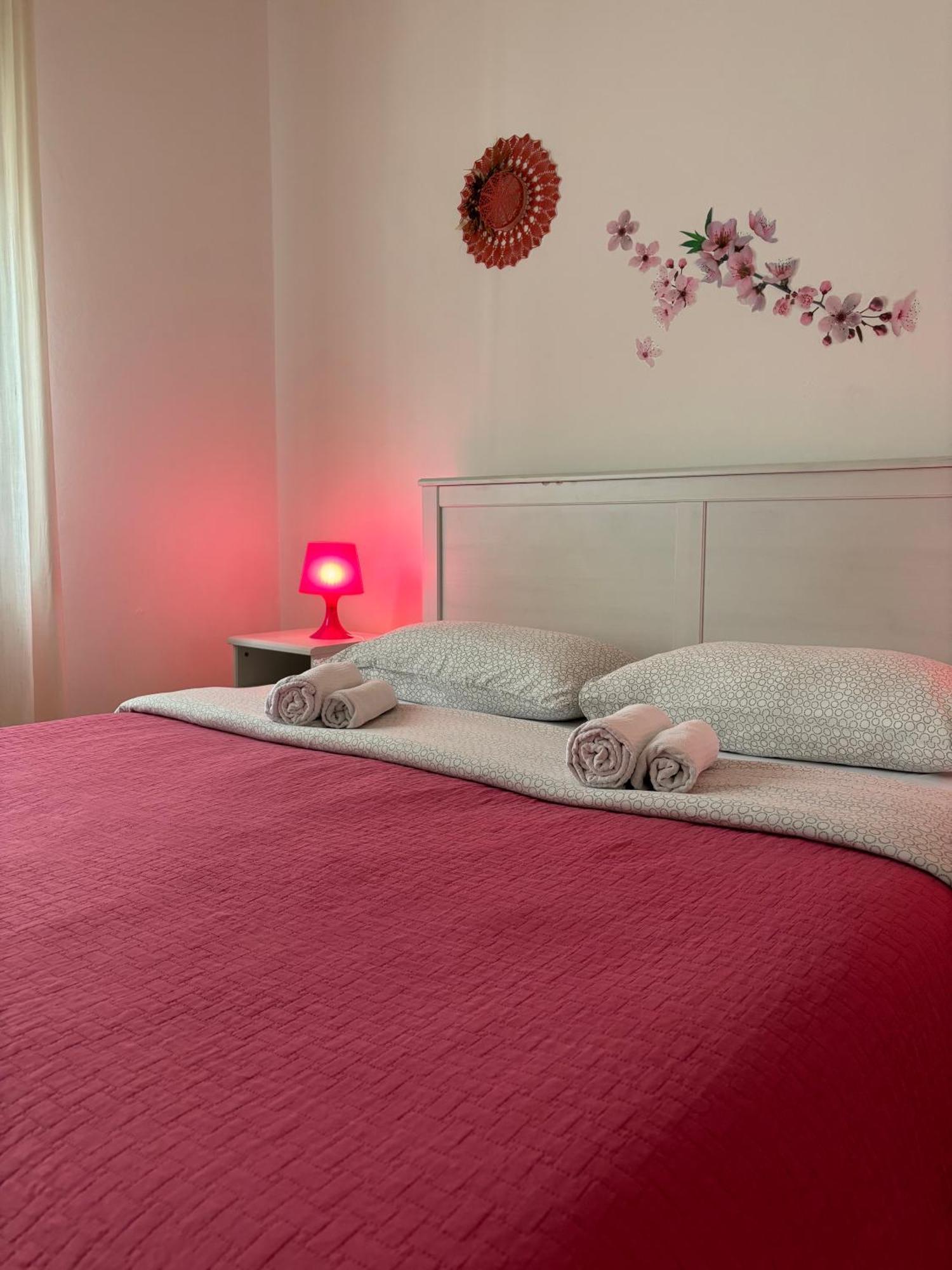 My Way Bed and Breakfast Pisa Buitenkant foto